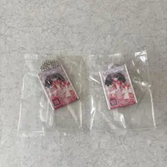 アイカツ！×プリパラ だれでもアクリルチャーム ガァルル×2