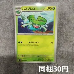 【在庫2】ハスブレロまとめ買いのサムネイル
