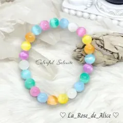 キャラメルたーちむ様 リクエスト 2点 まとめ商品