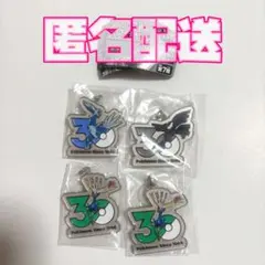 ポケモン　30周年　メタルチャームマスコット　4個セットのサムネイル
