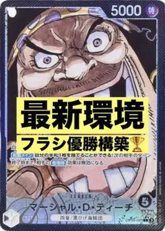 本日限定大特価‼️最新環境 フラシ優勝構築 黒ティーチ デッキ