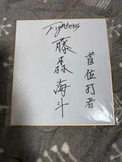 北海道日本ハムファイターズ　孫易磊　直筆サイン色紙　ロゴ入り　楷書　激レア 北海道日本ハムファイターズ 孫易磊 直筆サイン色紙 ロゴ入り 楷書 激