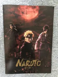 NARUTO〜暁の調べ〜 フライヤー
