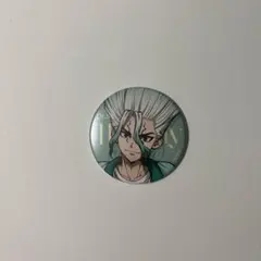 Dr.STONE 石神千空 渋谷 マルイ WALLMA 109 等身 缶バッジ - メルカリ