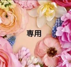 富豪令嬢1 おまとめ専用