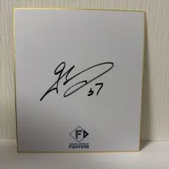 カ*チ様 北海道日本ハムファイターズ　古林睿煬　直筆サイン色紙　　台湾代表のサムネイル