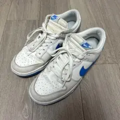Nike DUNK 29センチ　ホワイト/ブルー
