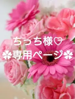 ちっち様 リクエスト 3点 まとめ商品♡