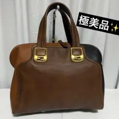 超希少✨FENDI フェンディ カメレオン ハンドバッグ フェンディ(FENDI) カメレオン(CHAMELEON) 中古 ハンドバッグ