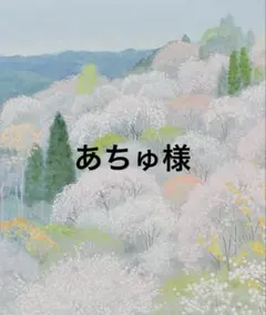 あちゅ様　専用　詳細必読