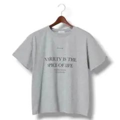 テチチ✨ロゴコンビプリントTシャツ　半袖　カットソー　綿混　グレー　カジュアルのサムネイル