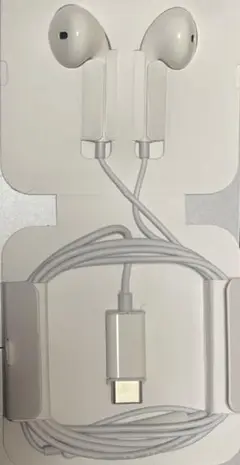新品未使用アップル純正type C端子