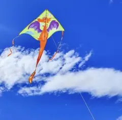 신상품, 아이들이 행복할 거예요 ♪ 엠마 카이트 152cm 드래곤 카이트