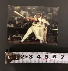 2025年最新】ソレイタの人気アイテム - メルカリ