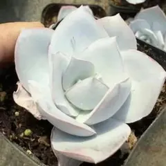 hayatake13109様 リクエスト 5点 まとめ商品