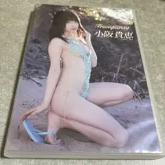 Transparent 小阪貴恵 DVD