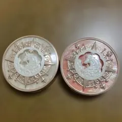 フラワーノーズユニコーンシリーズ チークブラッシュ