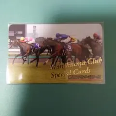 ☆メジロマックイーン(No.704)☆まねき馬倶楽部 特殊SPカード◇9枚限定 ☆メジロマックイーン(No.704)☆まねき馬倶楽部 特殊SPカード◇9