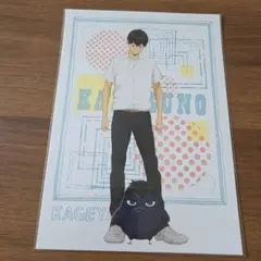 ハイキュー影山飛雄ポストカード