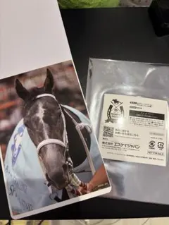 サラブレッドコレクション ポストカード カレンチャン