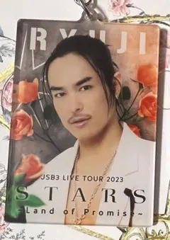 居酒屋えぐざいる　今市隆二　アクリルスタンド　STARS live ver