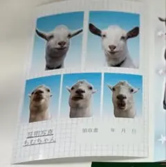 ゴリラ旦那　チム　chimu ステッカー ヤギ1枚