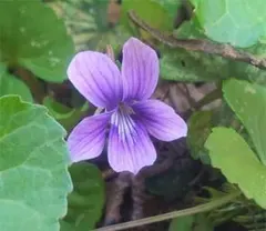 yoranda様 リクエスト 2点 まとめ商品