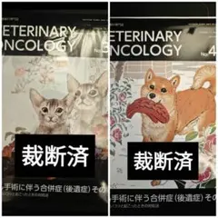 VETERINARY ONCOLOGY No.39 & No.41
