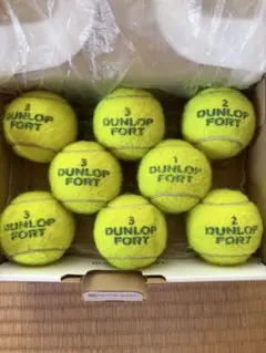 DUNLOP FORT イエロー テニスボール 2個入り - メルカリ