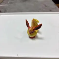 ポケモン フィギュア 初期のモンコレ ブースター
