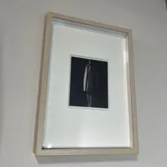 杉本博司　《スタイアライズド スカルプチャー 008》 Mimoca