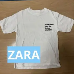 【ZARA】 新品未使用 プリントTシャツのサムネイル