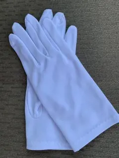 Item thumbnail for item b855e842-d502-4baf-9b4e-b8a38d08b1e0