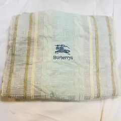 ♦️期間限定出品　Burberrys バーバリー　西川産業（株）　タオルケット