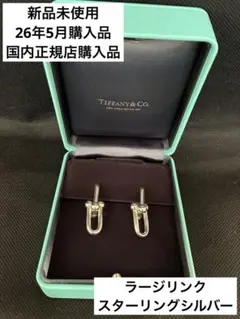 2026年最新】TIFFANY ティファニー ハードウェア ラージリンクピアス 
