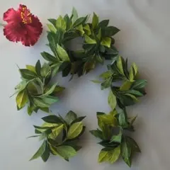 Item thumbnail for item 6f9439fb-1139-489c-90cb-9f33b04cd3dd