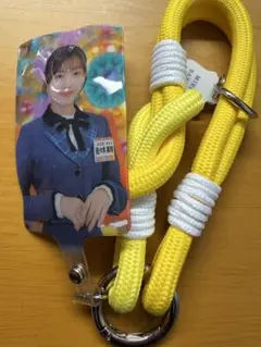 紐のみ！オフィスにの本店 もうこうなったらいろんなのをつける紐 二宮