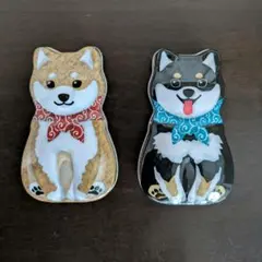 柴犬缶　KALDI　カルディ