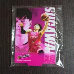 秋田ノーザンハピネッツ 菅原暉選手アクリルスタンドキーホルダー