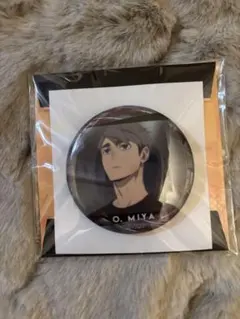 ハイキュー!! 宮治