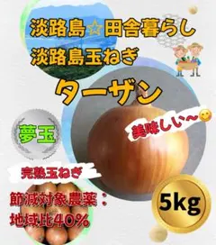 淡路島産玉ねぎ ターザン 秀品5kg 減農薬 たまねぎ タマネギ 野菜 高糖度のサムネイル