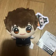 家庭教師ヒットマンREBORN! ちびぐるみvol.1 沢田綱吉 - メルカリ