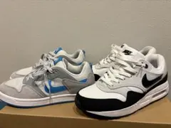 NIKE エアマックス 1 & SBアリウープ　2足セット