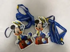 東京ディズニーリゾート バケーションパッケージ チケットホルダー 2個セット