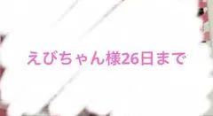 えびちゃん 様 専用ページ