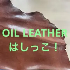 Item thumbnail for item 8ede6a35-015a-4aab-90d7-06bb506a7f2b