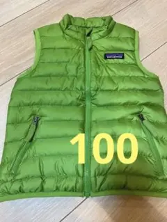 パタゴニア  ダウン　ベスト　100