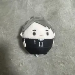 宮治 ふわコロりん ハイキュー ふわころりん