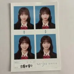seju 証明写真風 バラ売り　フォトカード セットこぞのいねねだけ売れてます seju セジュ 証明写真 古園井寧々 こぞのいねね - メルカリ