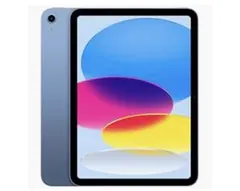 美品】Apple iPad a16最大容量100%シルバー 256G保証付 - メルカリ